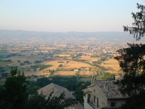 summer and fall 2010 464