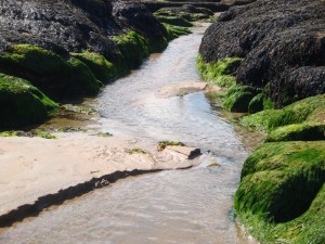 Beach in Scotland www.eileenslovak.com