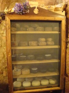 Tuscan Cheeses www.eileenslovak.com