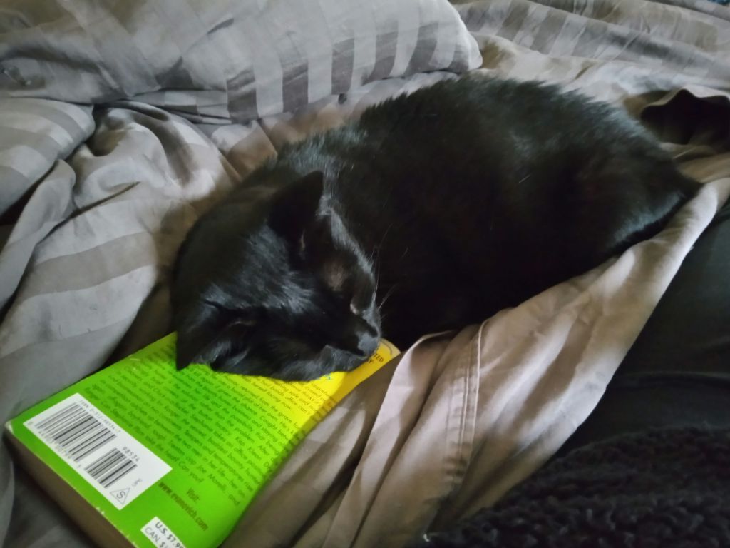 Curl Up With A Good&nbsp;Book!