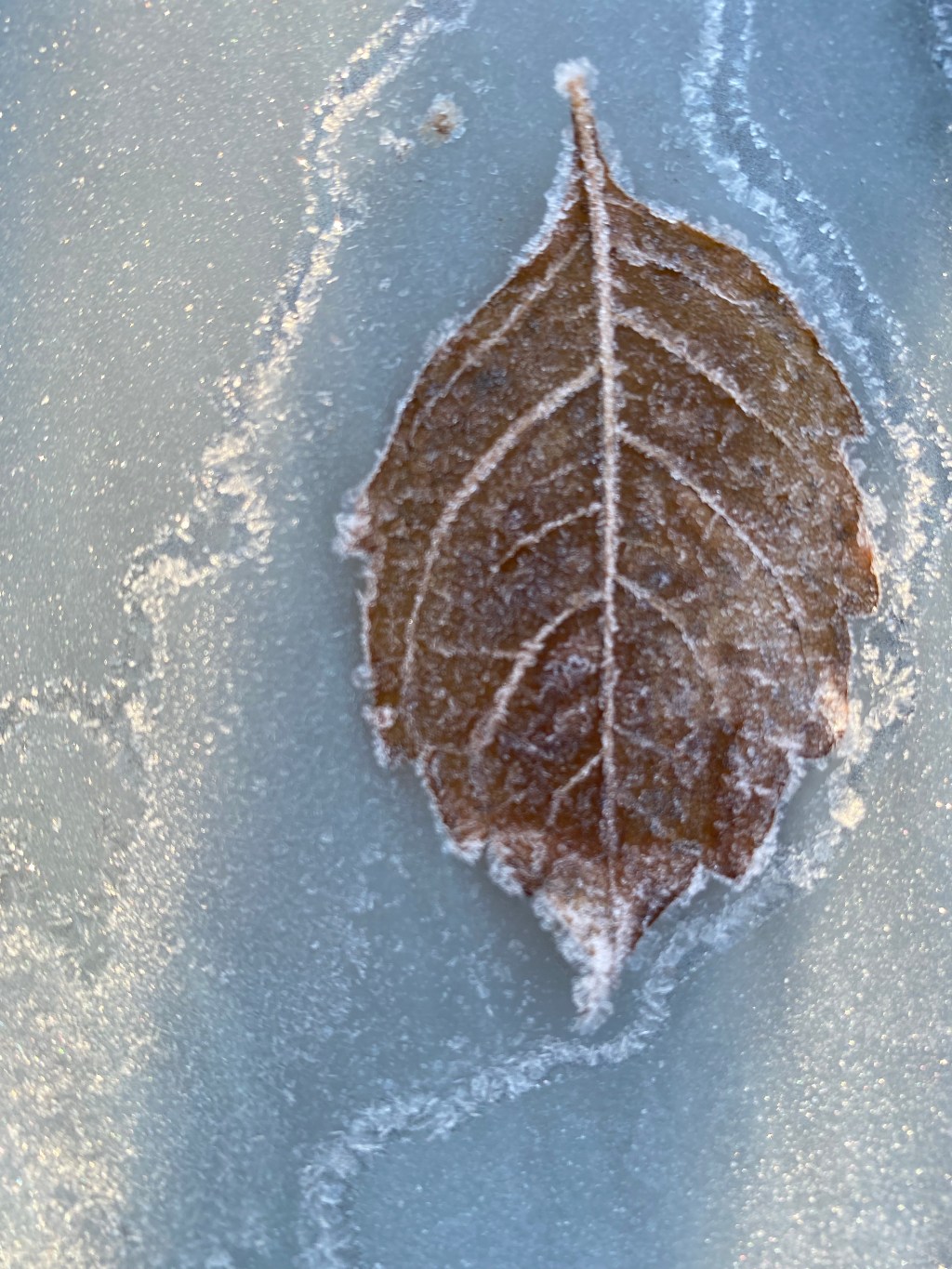 The PI’s Sweet Lies, Chapter&nbsp;9