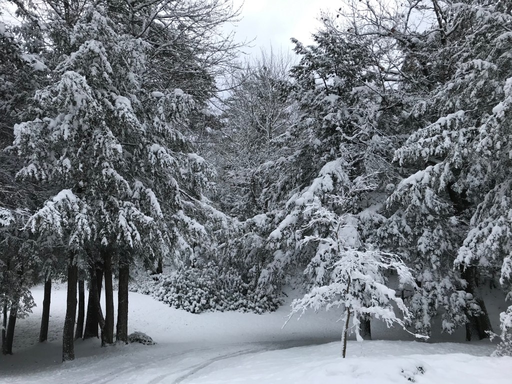 Ready for Snowmageddon 2026?