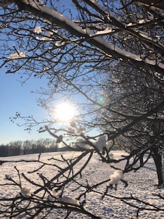 The PI’s Sweet Lies, Chapter&nbsp;16